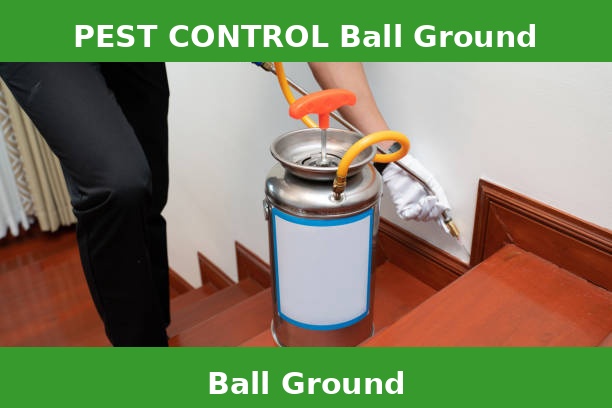 PEST CONTROL Ball Ground
